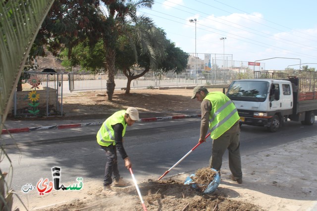 فيديو - كفر قاسم :  بعد النشر في قسماوي نت  البدء بالمراحل الاولى من البستنة والتشجير في جزر مدخل المدينة 